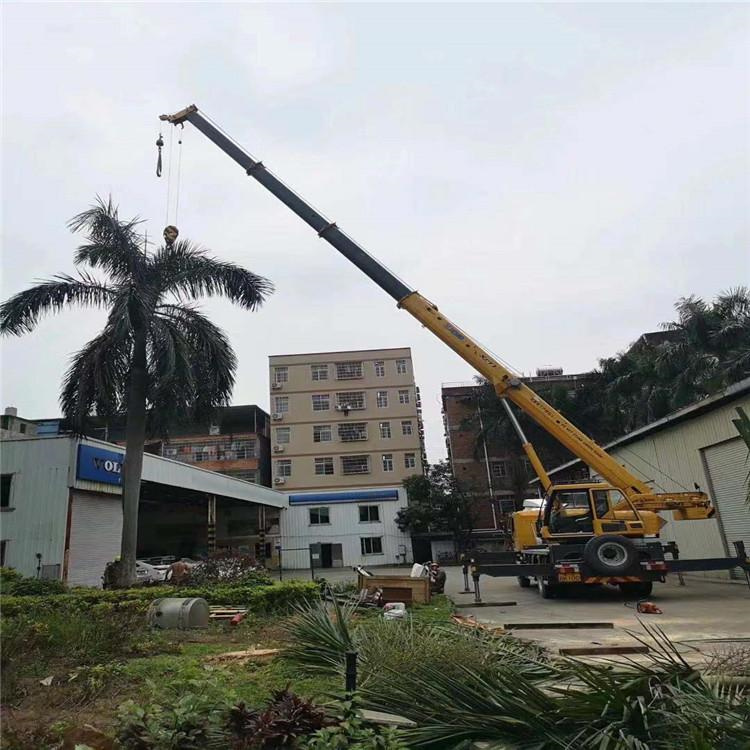 柳江吊车吊大树几种方法
